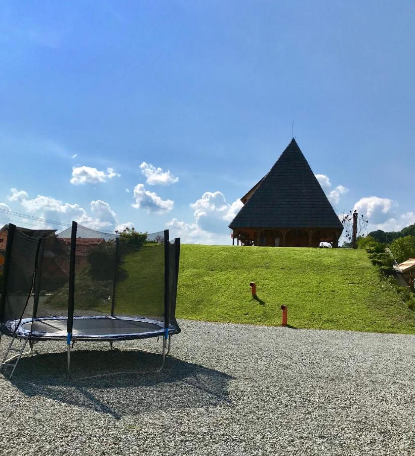 ホテル Casa Ralucai モイセイ エクステリア 写真