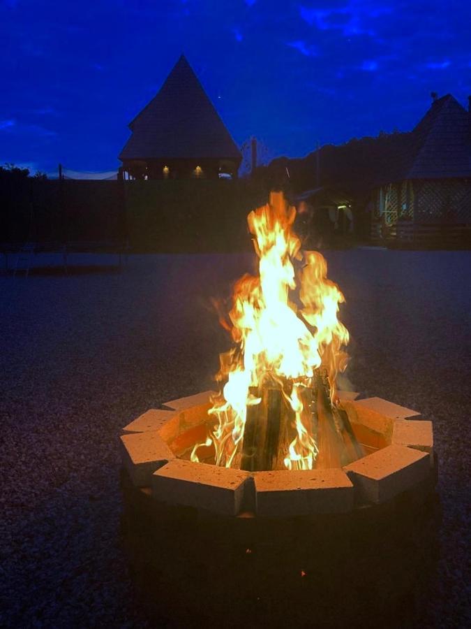 ホテル Casa Ralucai モイセイ エクステリア 写真