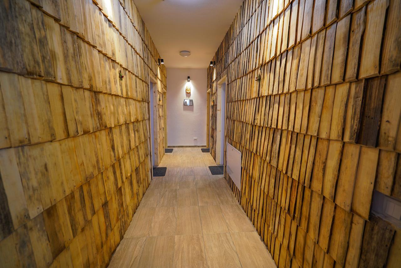 ホテル Casa Ralucai モイセイ エクステリア 写真