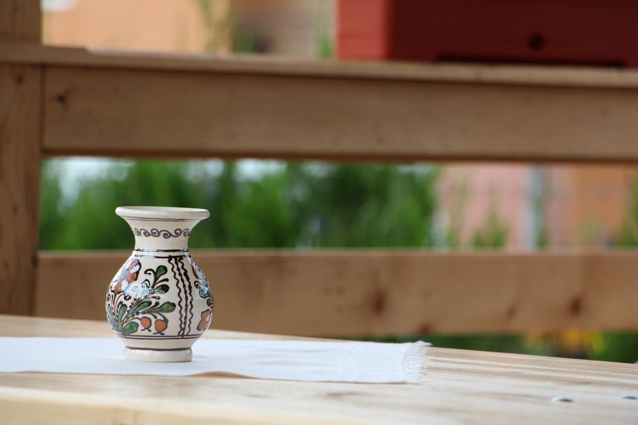 ホテル Casa Ralucai モイセイ エクステリア 写真