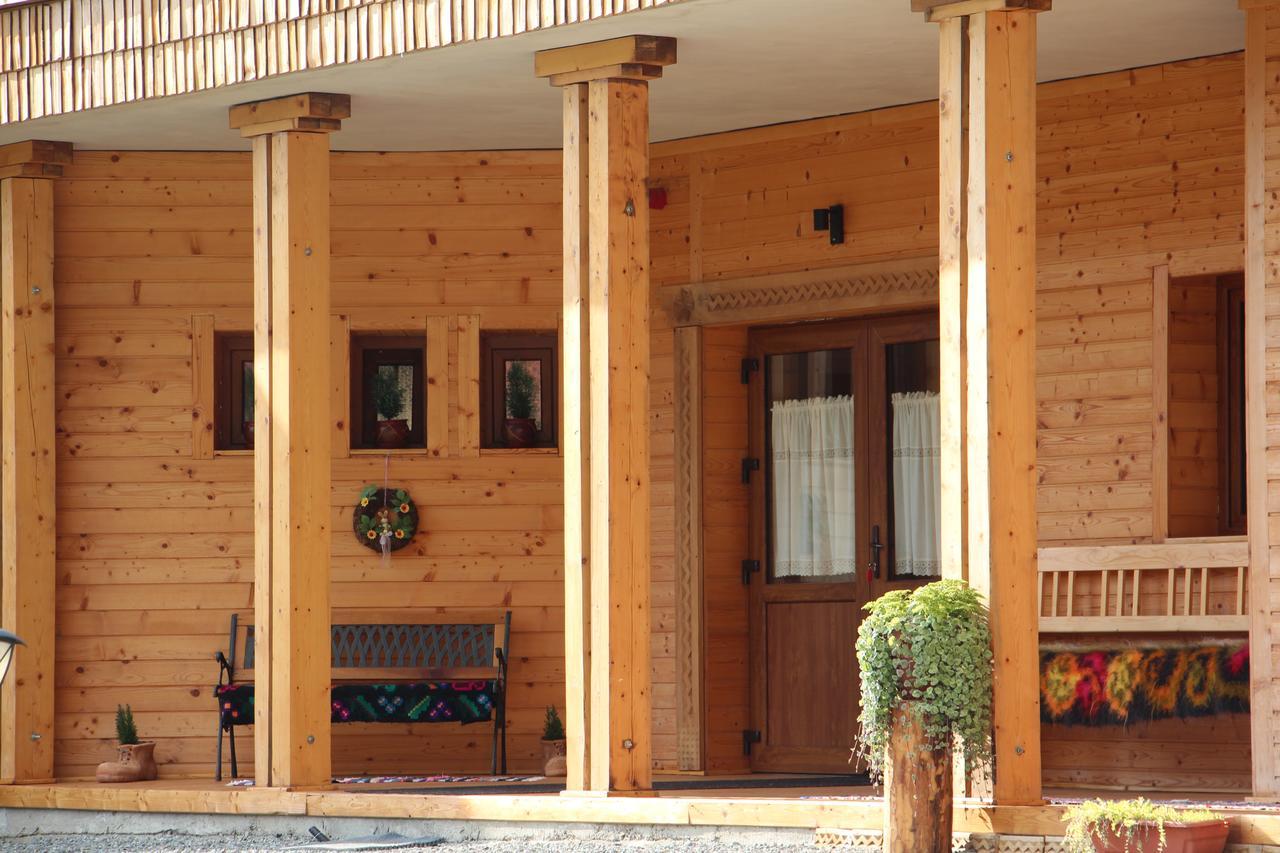ホテル Casa Ralucai モイセイ エクステリア 写真