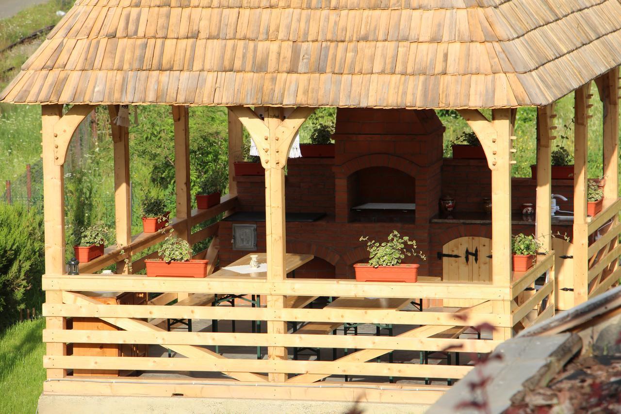ホテル Casa Ralucai モイセイ エクステリア 写真